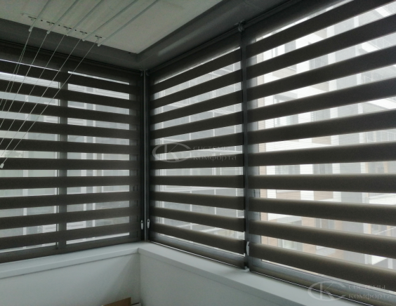 Портфолио шторы День-Ночь Мини