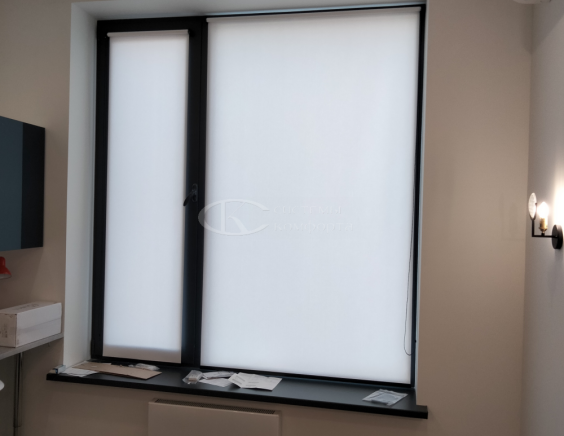 Порфолио Рулонные шторы Мини