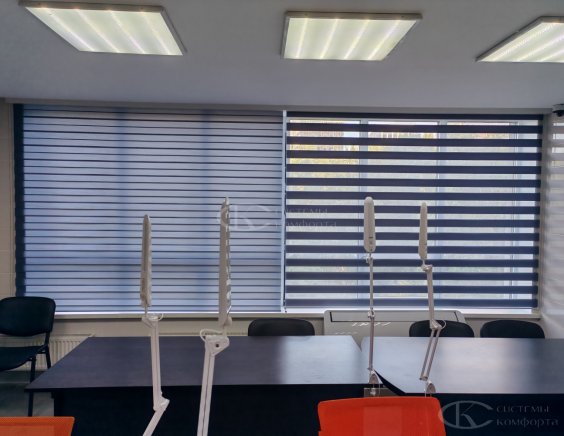 Портфолио шторы День-Ночь Мини