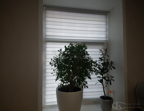 Портфолио шторы День-Ночь Мини