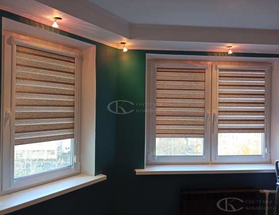 Порфолио работ шторы День-Ночь Комбо они